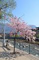 083_Italy_Meran