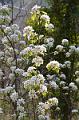 100_Italy_Meran_Algunder_Waalweg