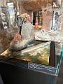 037_Italy_Bozen_Messner_Mountain_Museum_Firmian