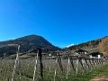 070_Italy_Voellan