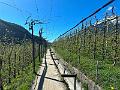 098_Italy_Algunder_Waalweg