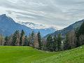 133_Italy_Verdins