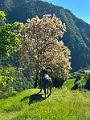 046_Italien_Suedtirol_Vinschgau_MMM_Juval