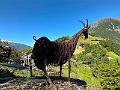 085_Italien_Suedtirol_Vinschgau_MMM_Juval