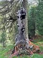 160_Italien_Suedtirol_Matscher_Tal