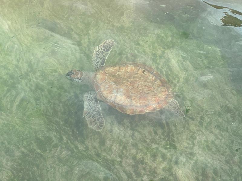 105_Curacao_Playa_Piskado.JPG