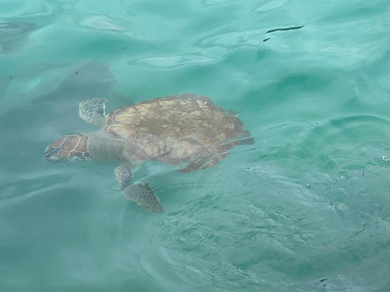 107_Curacao_Playa_Piskado.JPG