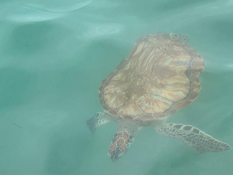 108_Curacao_Playa_Piskado.JPG