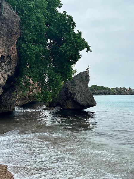 115_Curacao_Playa_Piskado.JPG