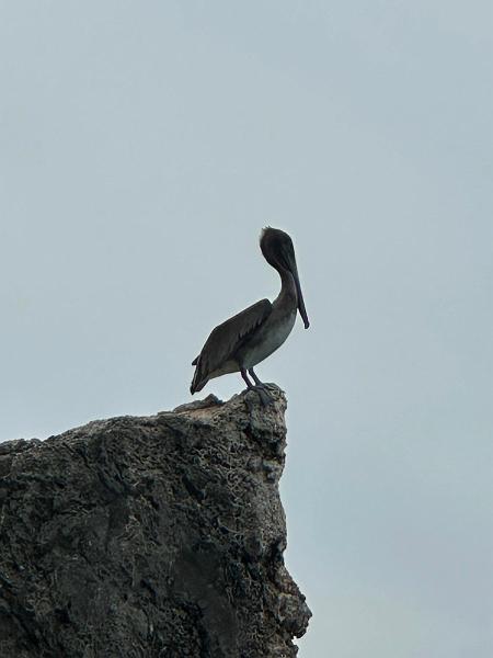 116_Curacao_Playa_Piskado.JPG