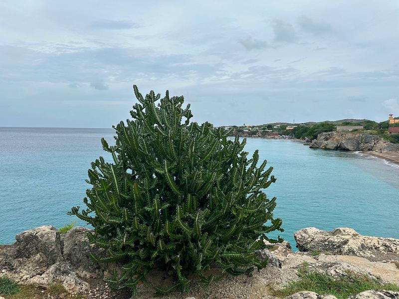 119_Curacao_Playa_Piskado.JPG