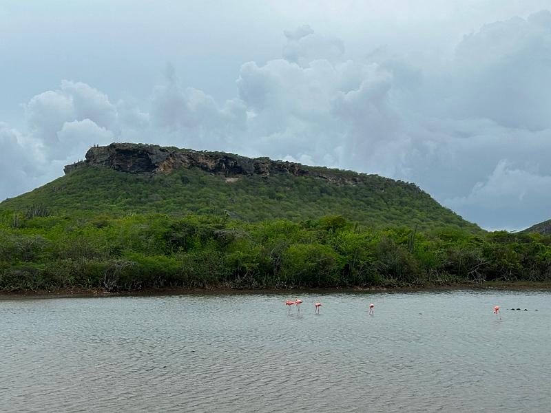 134_Curacao_Serulargu_NP.JPG