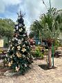 058_Curacao_Willemstad
