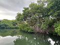 071_Curacao_Willemstad