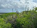 095_Curacao_Hato_Cave