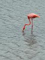 135_Curacao_Serulargu_NP