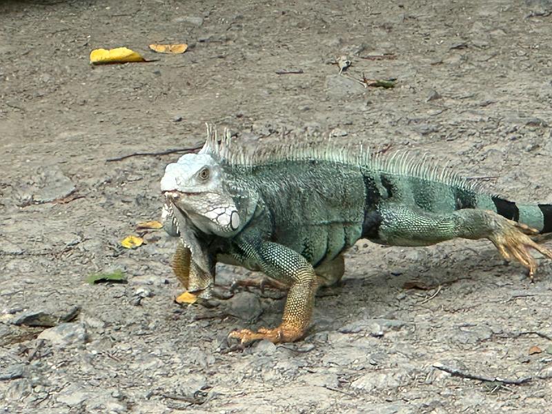 041_Colombia_Santa_Marta.JPG