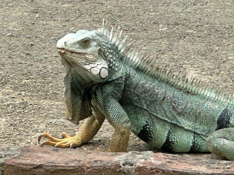 042_Colombia_Santa_Marta.JPG