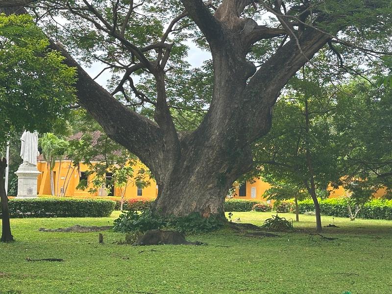045_Colombia_Santa_Marta.JPG