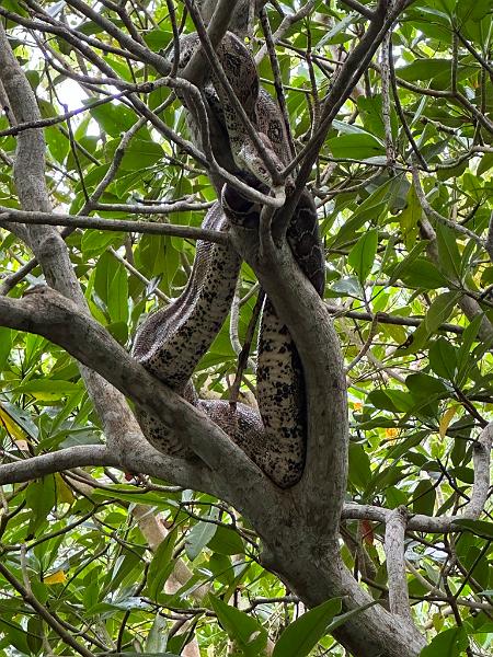 152_Colombia_Cartagena_Manglar.JPG