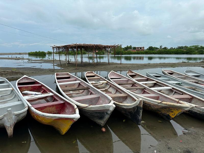 166_Colombia_Cartagena_Manglar.JPG