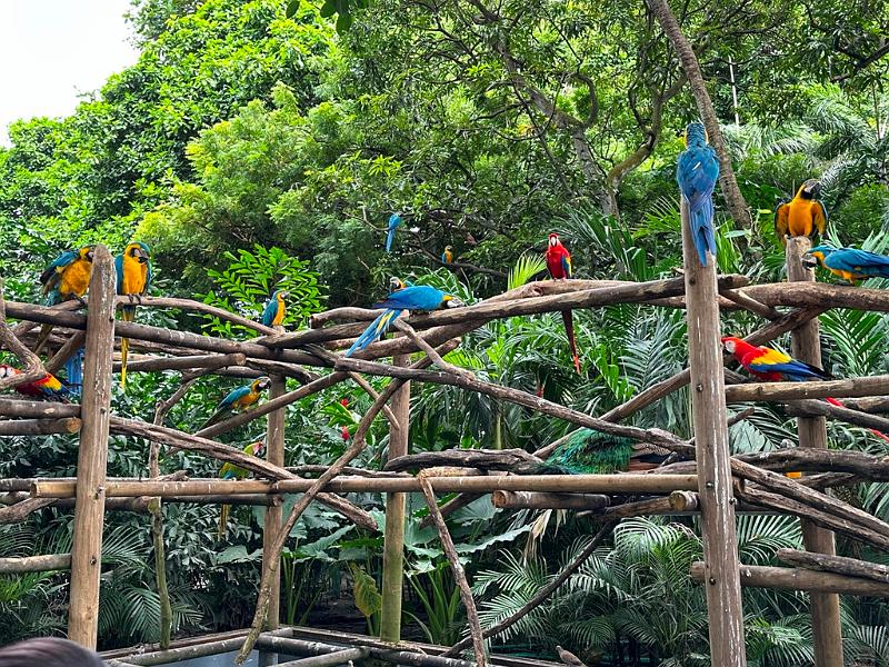180_Colombia_Cartagena.JPG