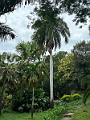 033_Colombia_Santa_Marta