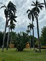 034_Colombia_Santa_Marta