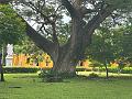 045_Colombia_Santa_Marta