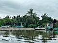 139_Colombia_Cartagena_Manglar