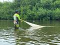 154_Colombia_Cartagena_Manglar
