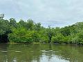 161_Colombia_Cartagena_Manglar