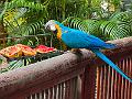 177_Colombia_Cartagena