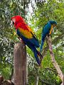 182_Colombia_Cartagena