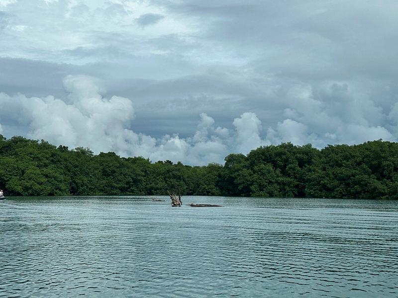 008_Panama_Rio_Chiwaldi.JPG