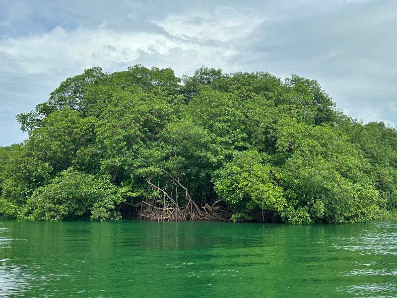 010_Panama_Rio_Chiwaldi.JPG