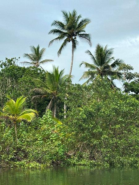 014_Panama_Rio_Chiwaldi.JPG