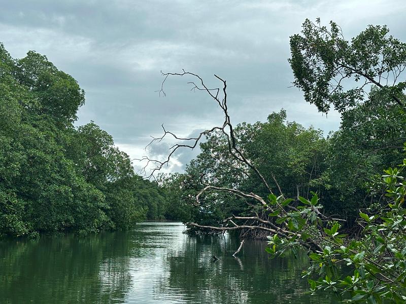 020_Panama_Rio_Chiwaldi.JPG