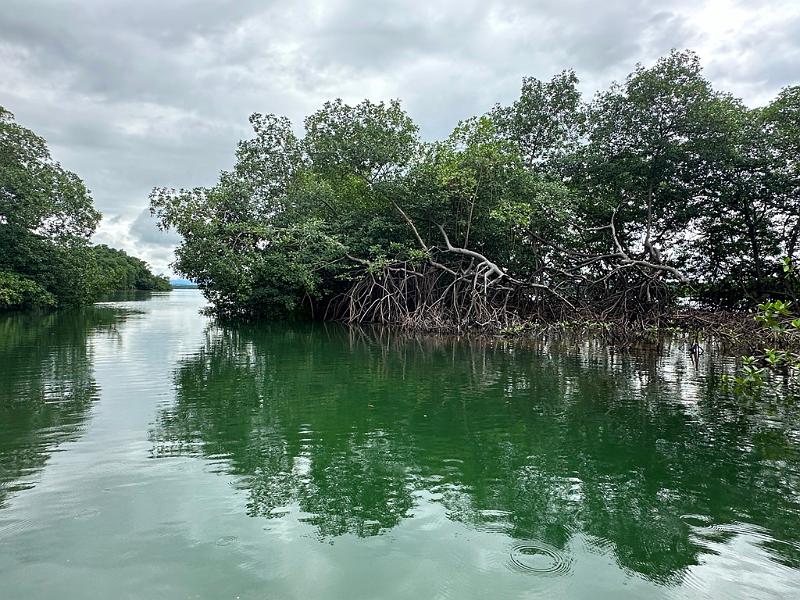 021_Panama_Rio_Chiwaldi.JPG