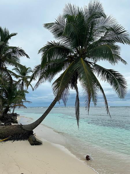 045_Panama_Holandes_Cay_Beach.JPG