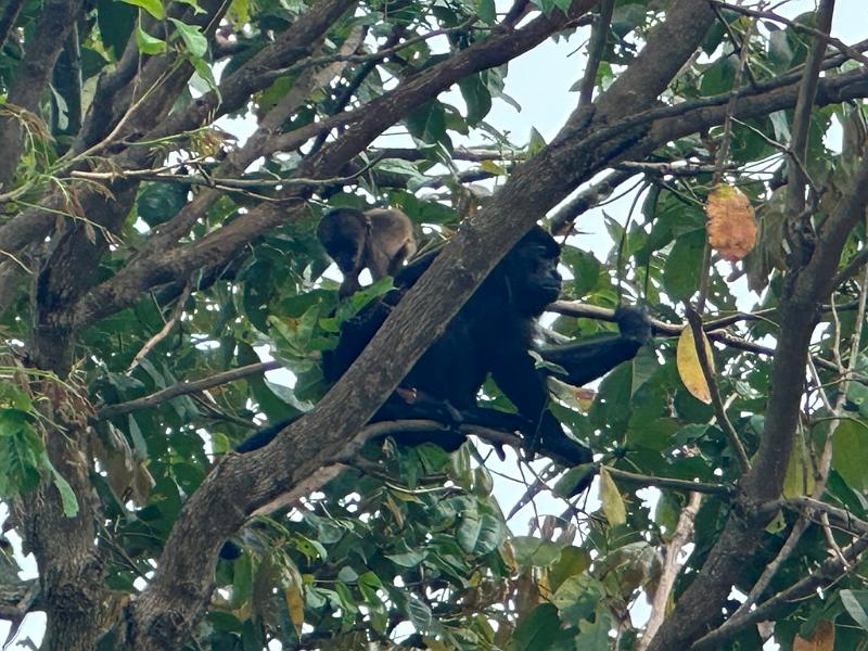 086_Panama_San_Lorenzo_Fort.JPG