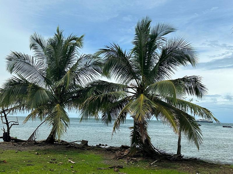 095_Panama_San_Lorenzo_Fort.JPG