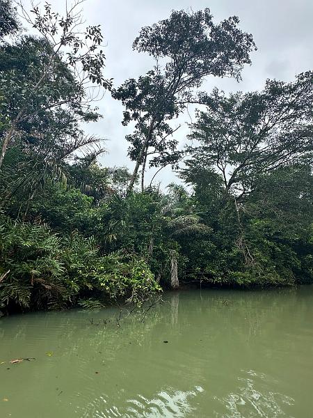 102_Panama_Rio_Chagre.JPG