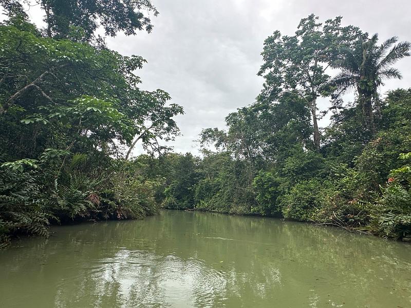 105_Panama_Rio_Chagre.JPG