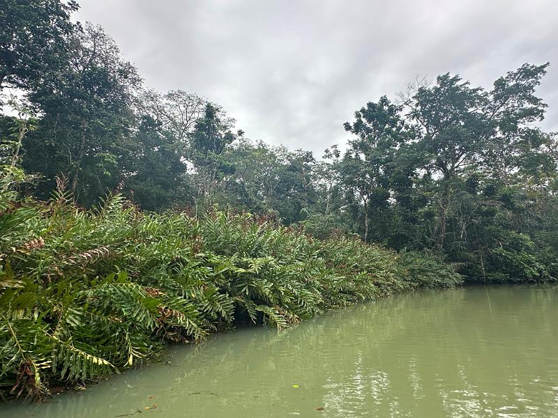 106_Panama_Rio_Chagre.JPG