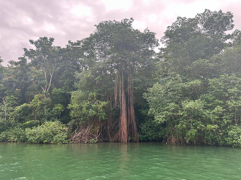 107_Panama_Rio_Chagre.JPG