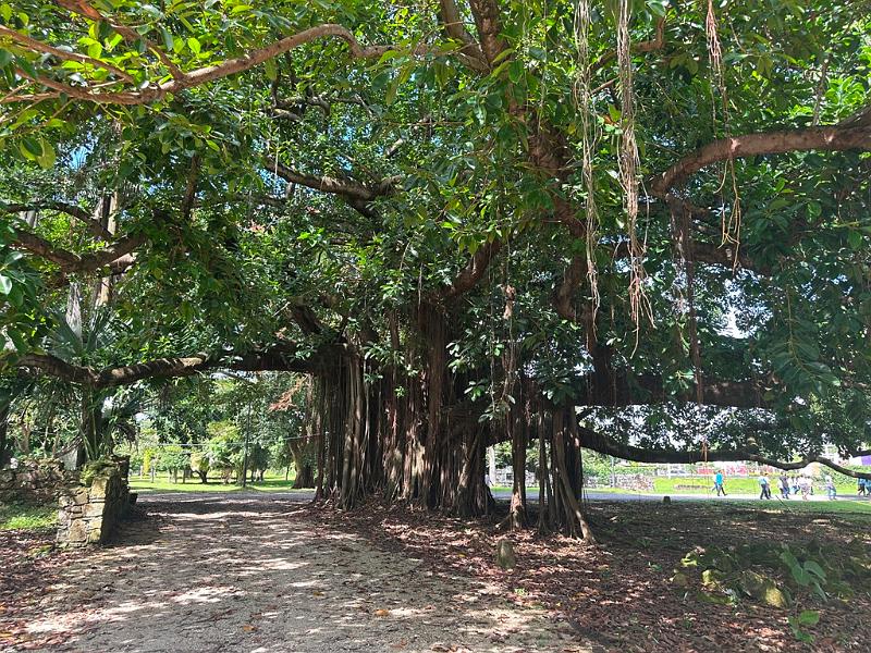 223_Panama_City_Panama_Viejo.JPG