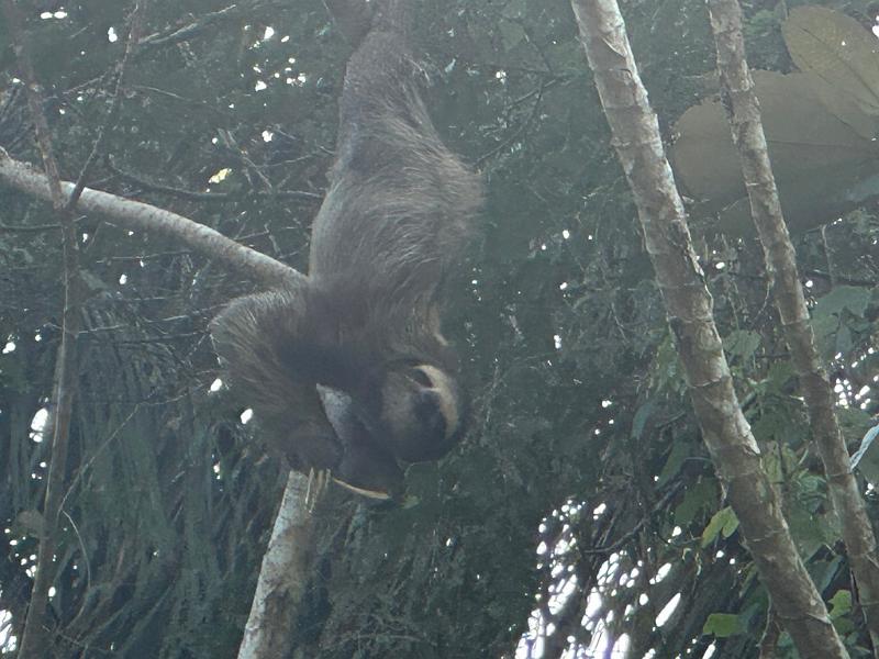 236_Panama.JPG