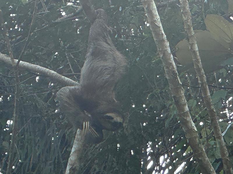 237_Panama.JPG