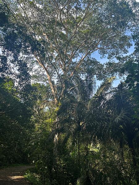 241_Panama.JPG
